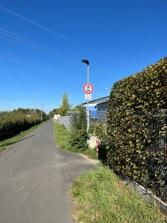 Asphaltierter Weg mit Straßenlaternen neben einer Hecke und einem Zaun.