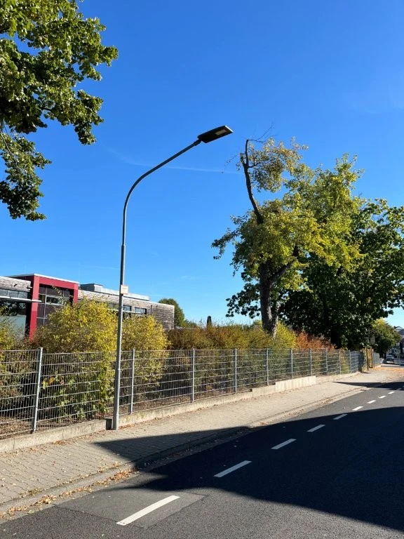 Straßenlaterne neben einem eingezäunten Schulgelände mit Bäumen.